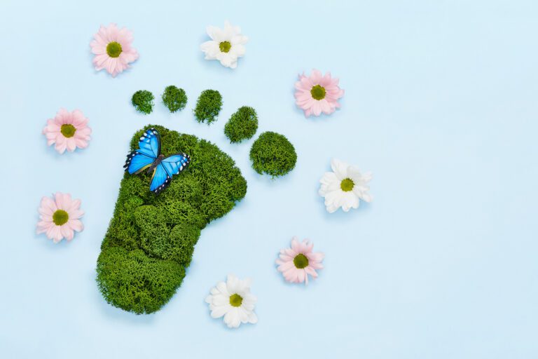 How to reduce carbon footprint
