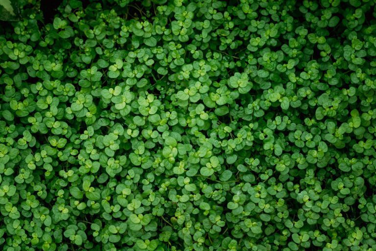 Going green examples for small and large businesses