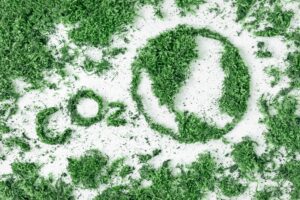 landlord carbon savings from solar panels