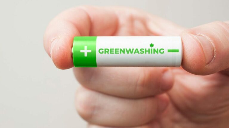 how to help avoid greenwashing