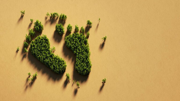 How does renewable energy affect carbon footprint
