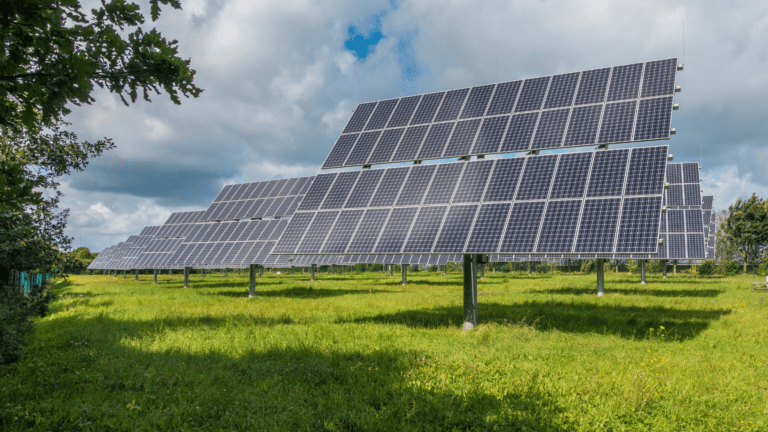 solar panels on a field on a sunny day