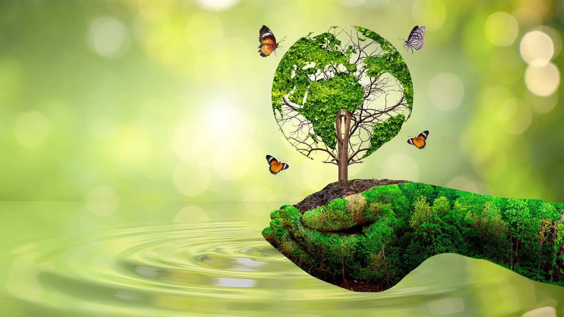 Hand covered in greenery holding a small tree with leaves shaped like the Earth; three butterflies flying around, with a blurred green and yellow bokeh effect in the background, symbolizing environmental conservation and the interconnectedness of nature