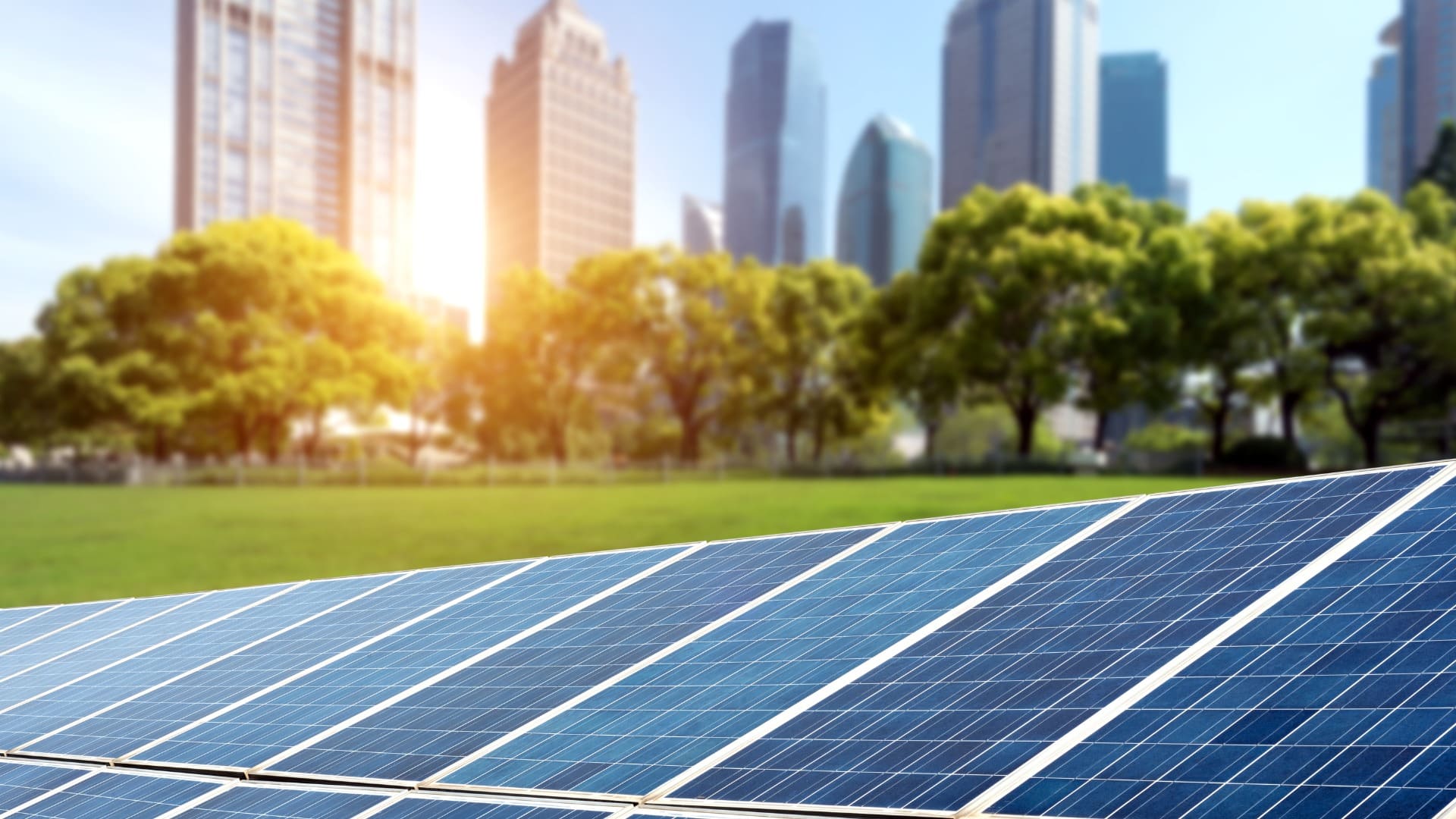 Set of solar panels with urban cityscape, trees, and clear sky, highlighting renewable energy in cities.