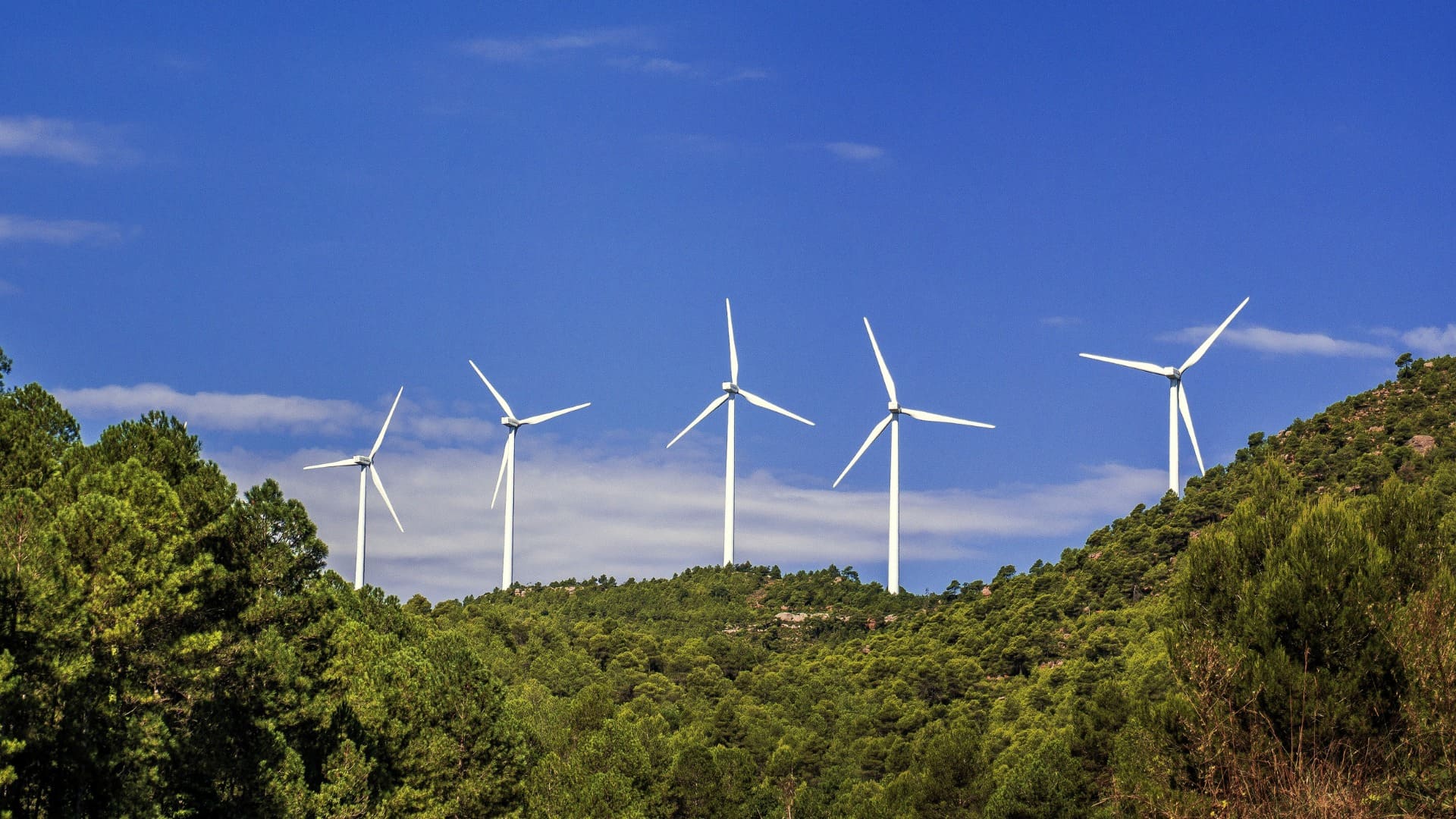 A picturesque landscape with five towering white wind turbines situated on a green hill densely covered by trees. The bright blue sky, adorned with a few scattered clouds, provides a serene and clean backdrop.