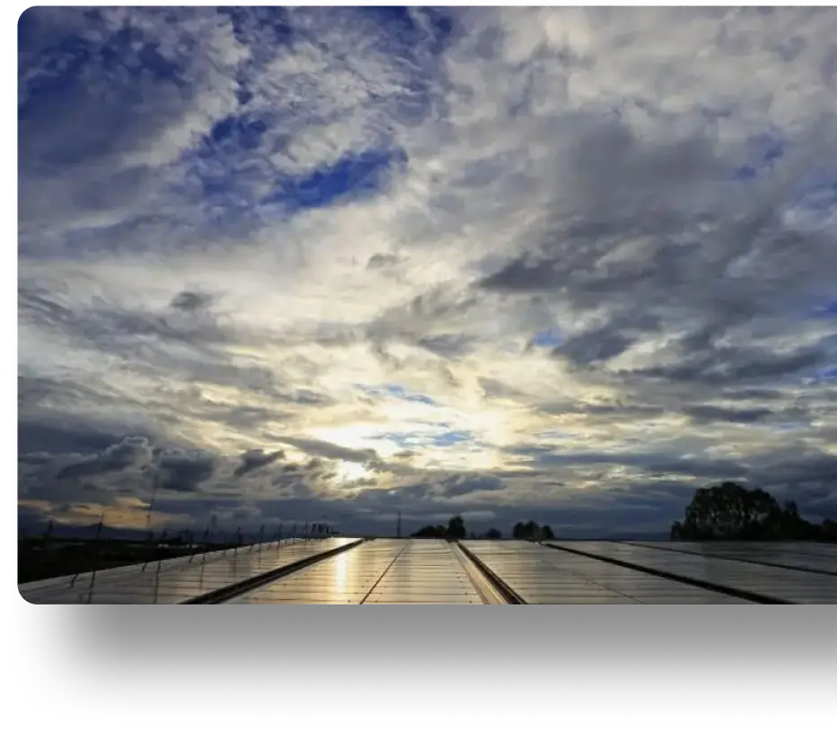 Rows of solar panels under a partly cloudy sky and framed by trees.