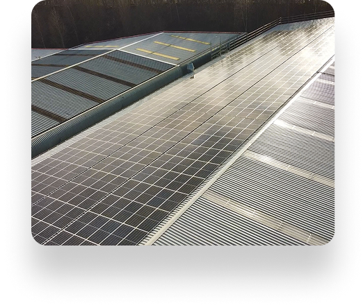 Solar panels cover Datims rooftop, glinting in the sun and underscoring a renewable energy commitment, with trees providing a serene backdrop.