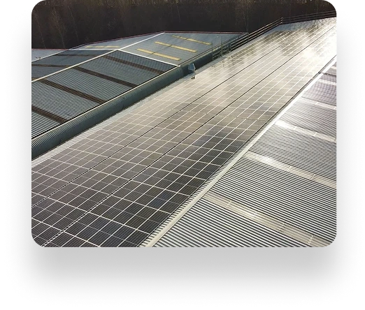 Solar panels cover Datims rooftop, glinting in the sun and underscoring a renewable energy commitment, with trees providing a serene backdrop.