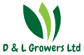 D&L Growers logo: Three stylized green leaves hover above the company name in bold, vibrant green text.