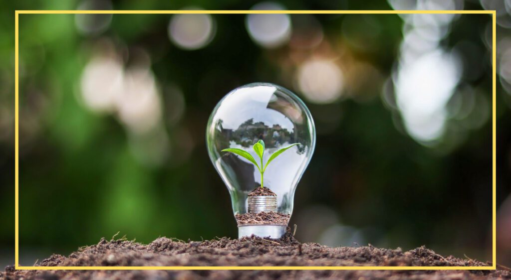 Light bulb on soil with a green plant inside, symbolizing sustainability, growth, and environmental awareness.