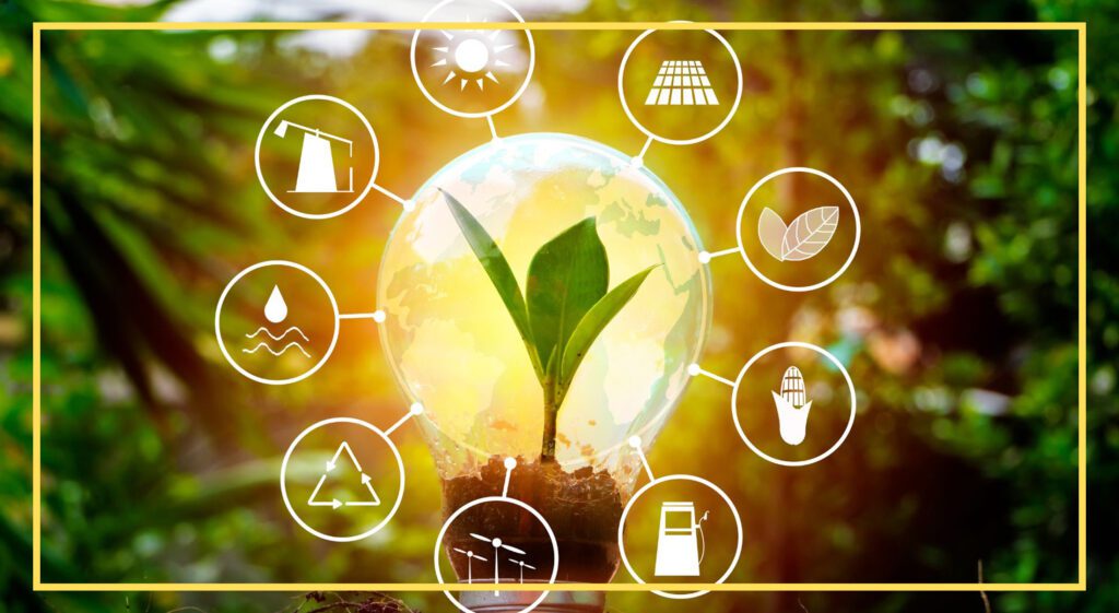 Light bulb with a plant inside, surrounded by renewable energy icons like solar panels, wind, and recycling.