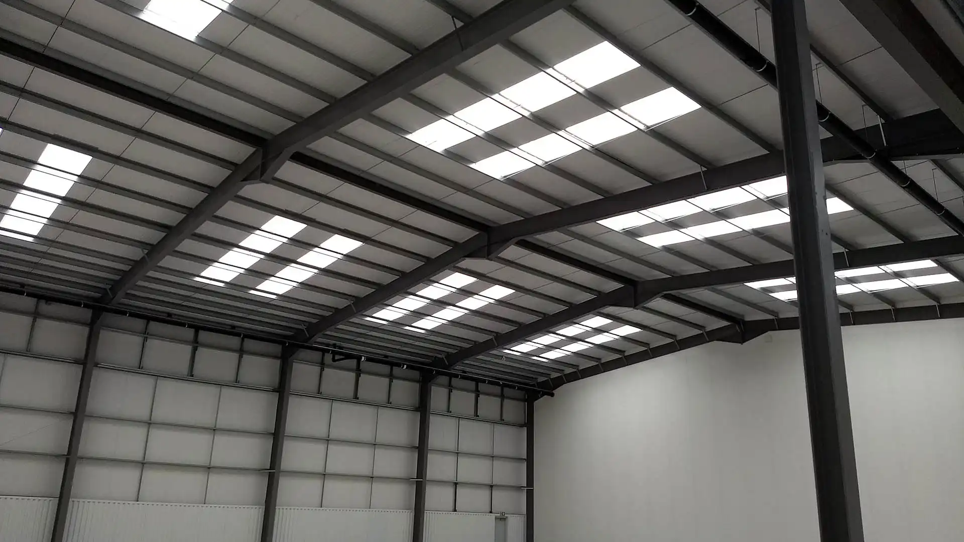 The sunlit warehouse features towering ceilings and a grid of skylights. Bare walls surround the vast interior, ready for online business adaptation.