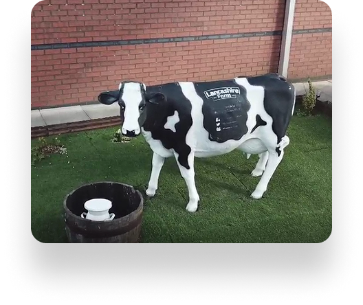 A black and white cow figurine with a Lancs Farm sign rests on artificial grass by a red brick wall. A wooden barrel with an old-fashioned milk jug is in front of the cow.