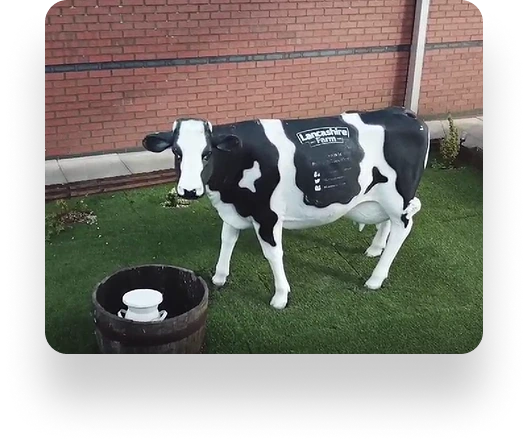 A black and white cow figurine with a Lancs Farm sign rests on artificial grass by a red brick wall. A wooden barrel with an old-fashioned milk jug is in front of the cow.