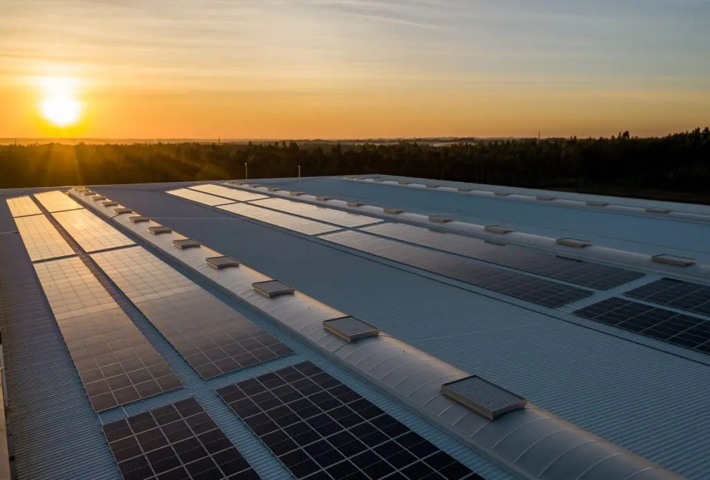 Large rooftop covered in solar panels, with a warm sunset casting light over an industrial building.