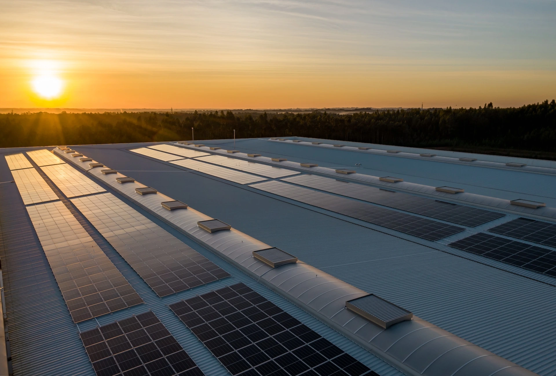 Industrial rooftop with neatly arranged solar panels under a warm glow of a setting sun.