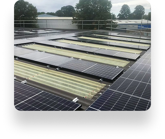Solar panels arranged in rows on a flat rooftop at The Box Factory, with trees and a cloudy sky in the background. Some panels glisten, and a safety railing outlines the roofs edge.